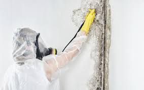 Best Forensic Mold Investigation  in Brownsboro, TX